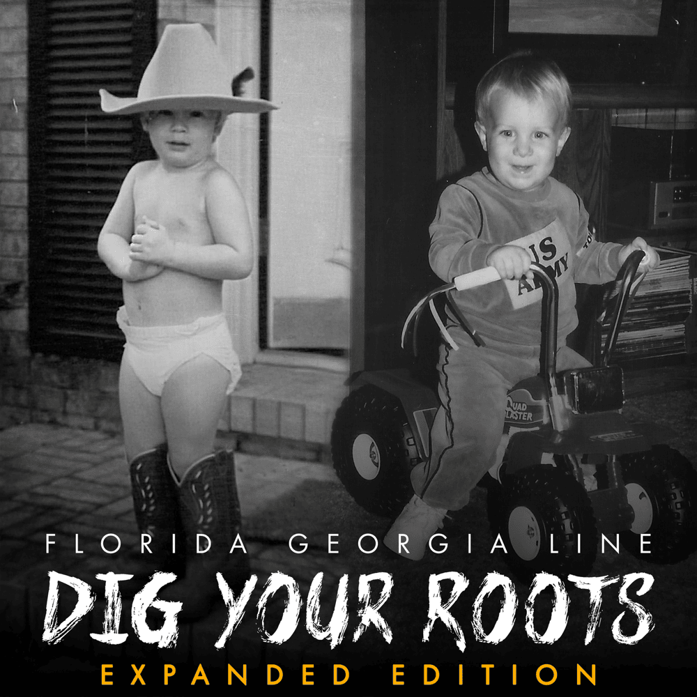 Cover image for Dig Your Roots (Expanded Edition)