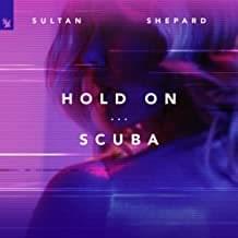 Album cover art for "Hold On" by Sultan + Shepard
