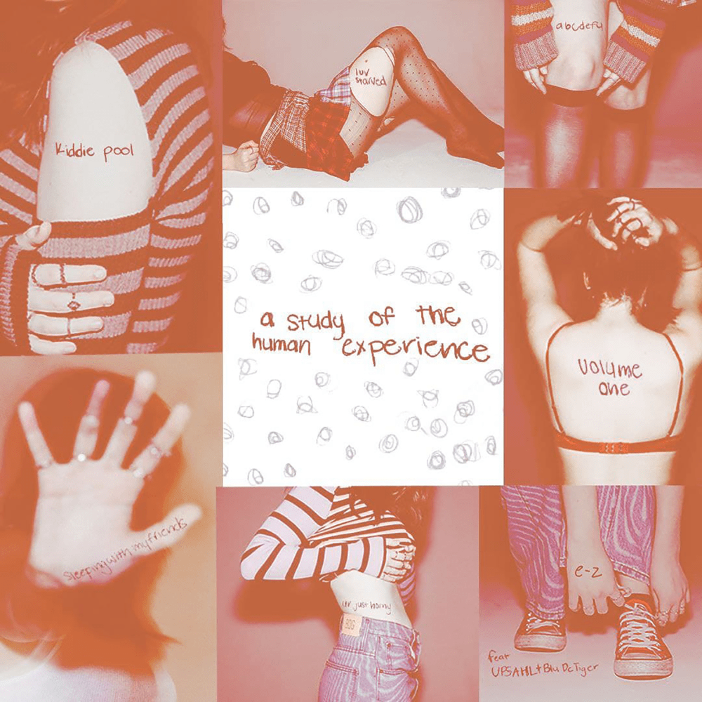 Cover image for GAYLE - a study of the human experience volume one (Deutsche Übersetzung)