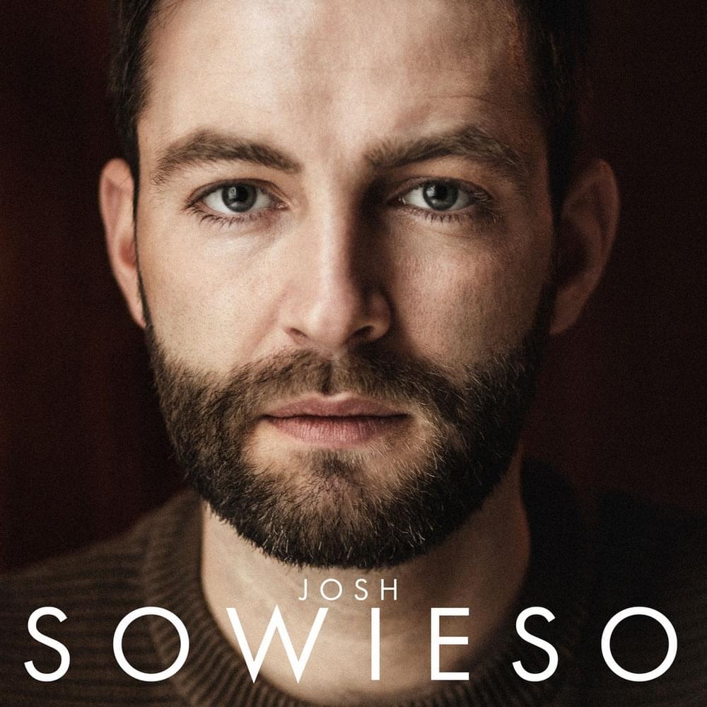 Album cover art for "Sowieso" by Josh.