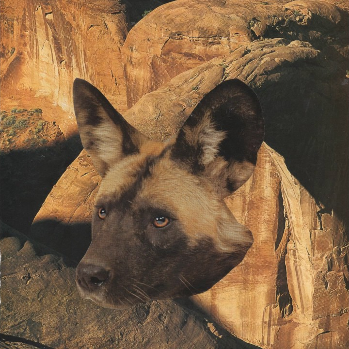 Flútuo by GÁBE
