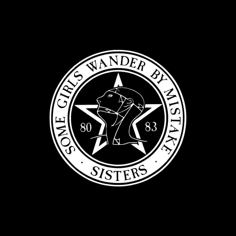 Cover image for Some Girls Wander by Mistake