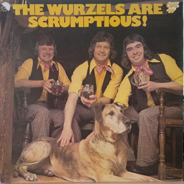 Twice Daily by The Wurzels
