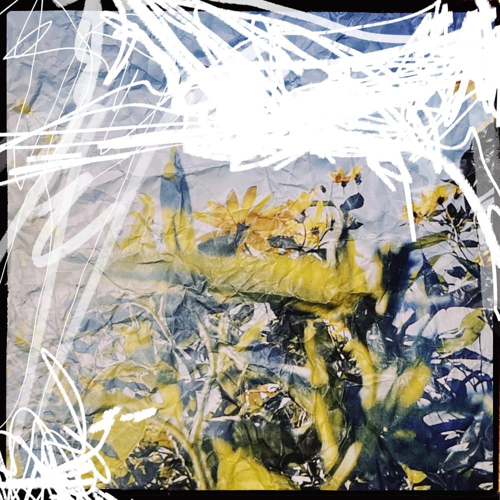 Album cover art for "しわくちゃな雲を抱いて (Shiwakuchana Kumo o Daite)" by DISH//