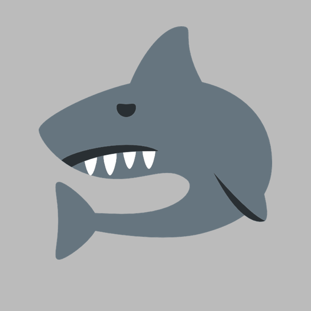 Photo of shark god🦈