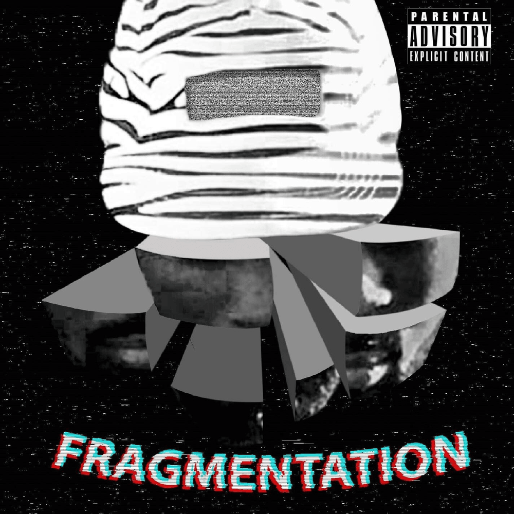 Cover image for Fragmentation