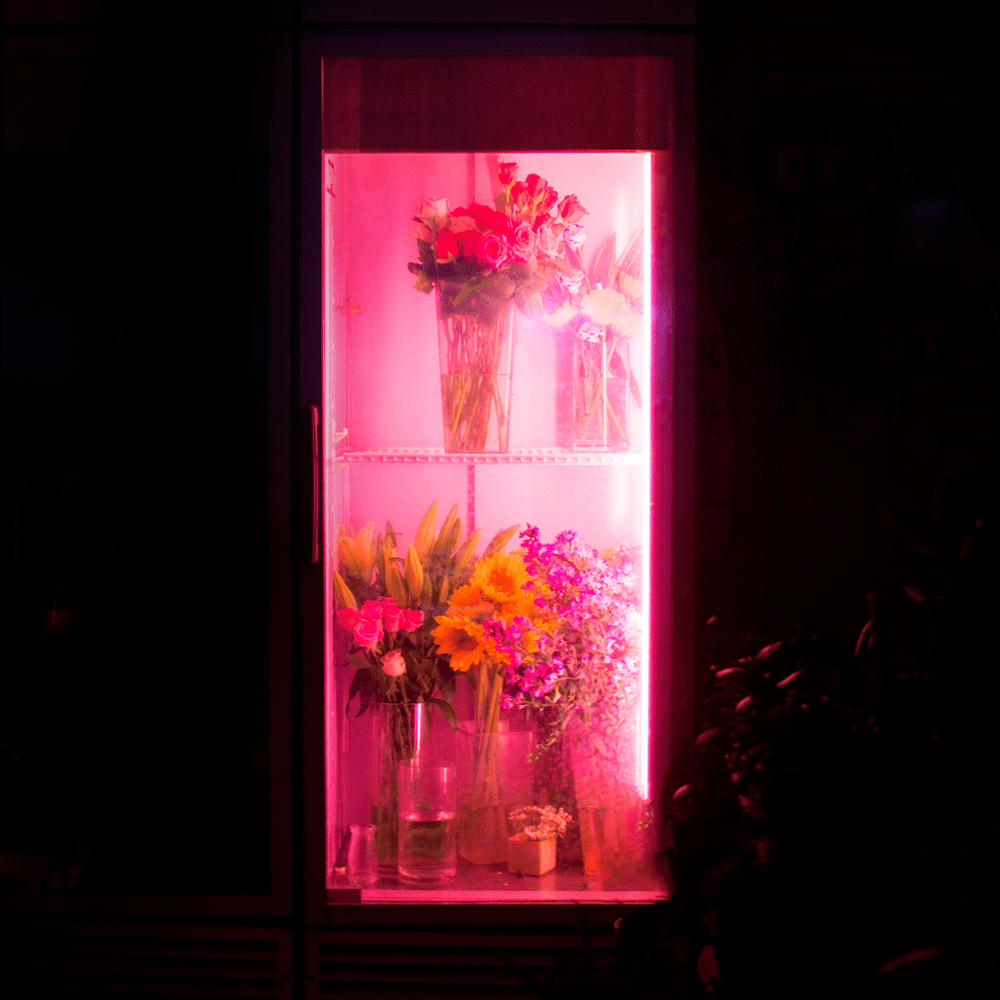 그대의 꿈결 (Dreaming of You) by Shin Hae Gyeong