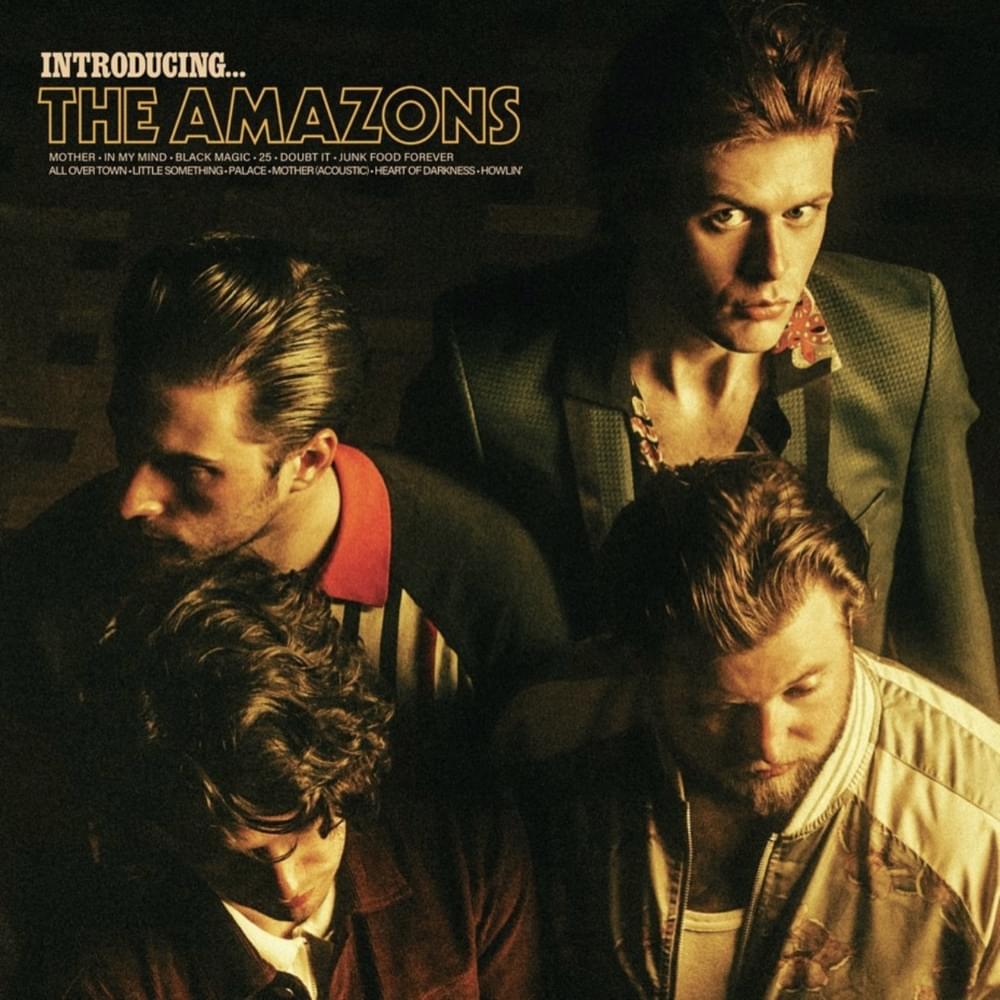Album cover art for "Howlin" by The Amazons