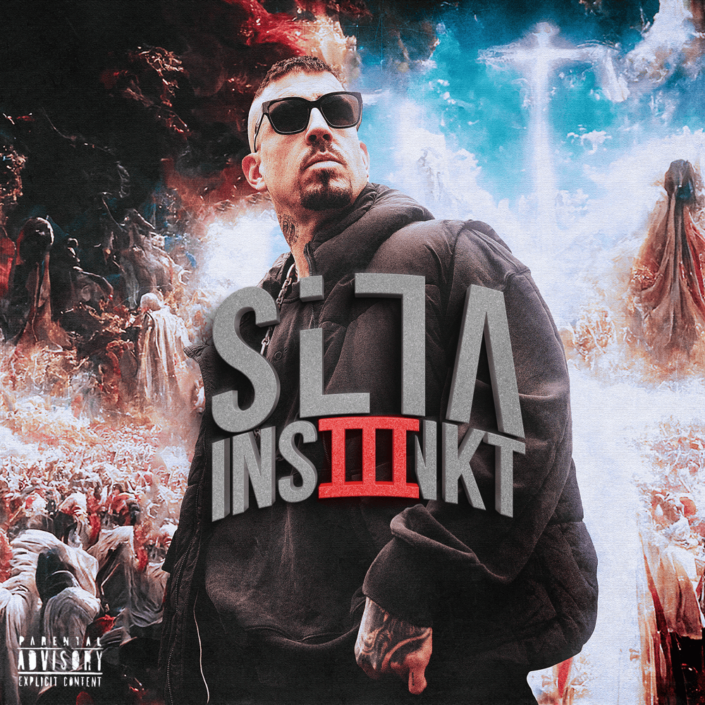 Cover image for Silla Instinkt 3