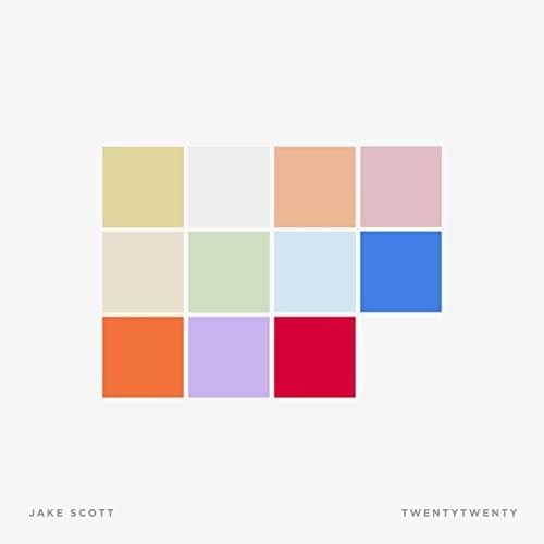 Cover image for TWENTY TWENTY