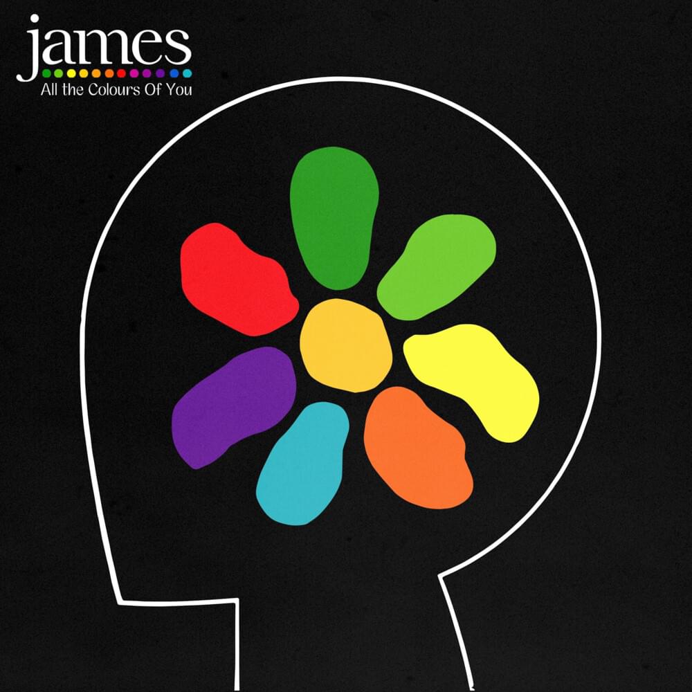 Cover image for All the Colours of You