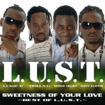 Cover image for Sweetness of Your Love (Best of L.U.S.T.)