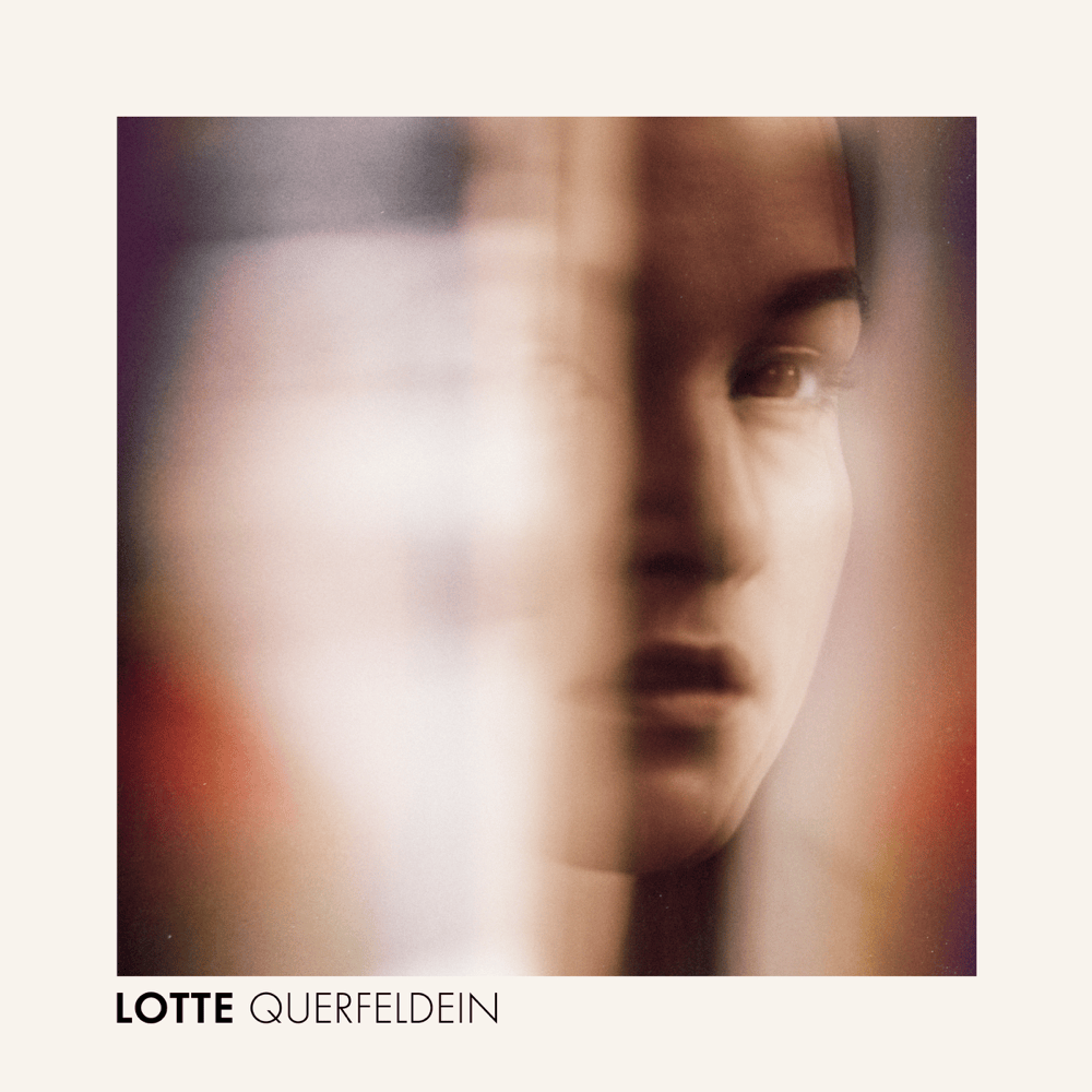 Cover image for Querfeldein