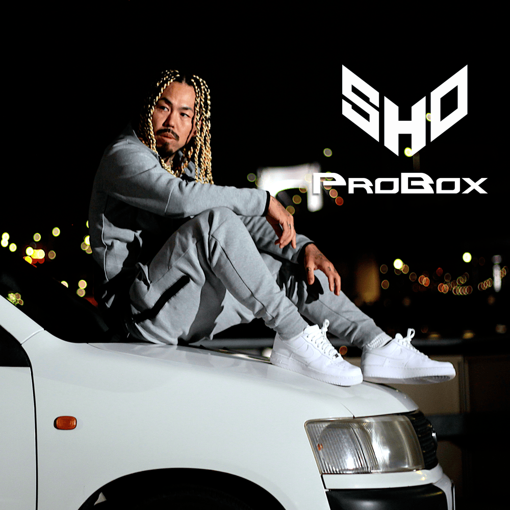 Album cover art for "ProBox" by SHO