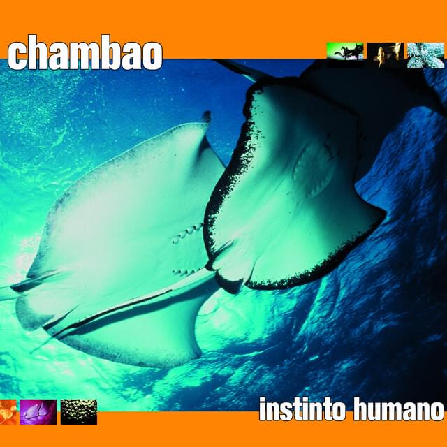 Album cover art for "Instinto Humano" by Chambao