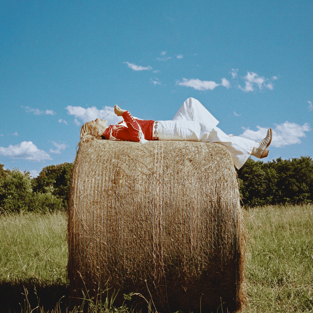 Album cover art for "‘Til The Road Runs Out" by Anne Wilson