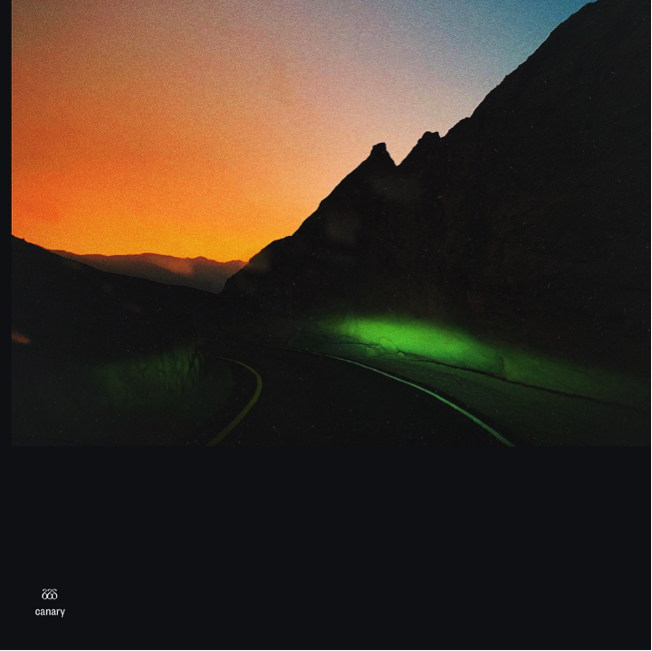 Album cover art for "Canary" by Big Black Delta