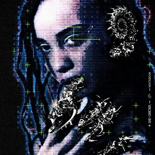 Album cover art for "NOCTUZOOK" by rad cartier & Vacra