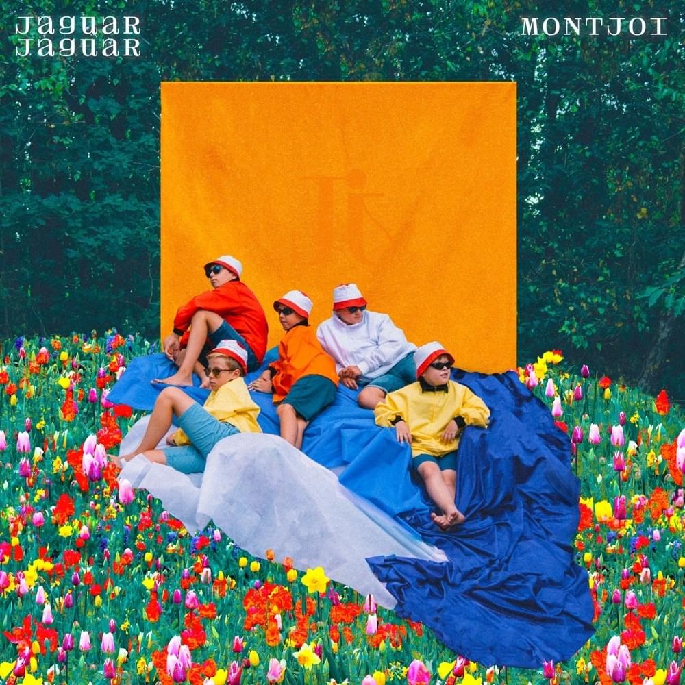 Cover image for Montjoi