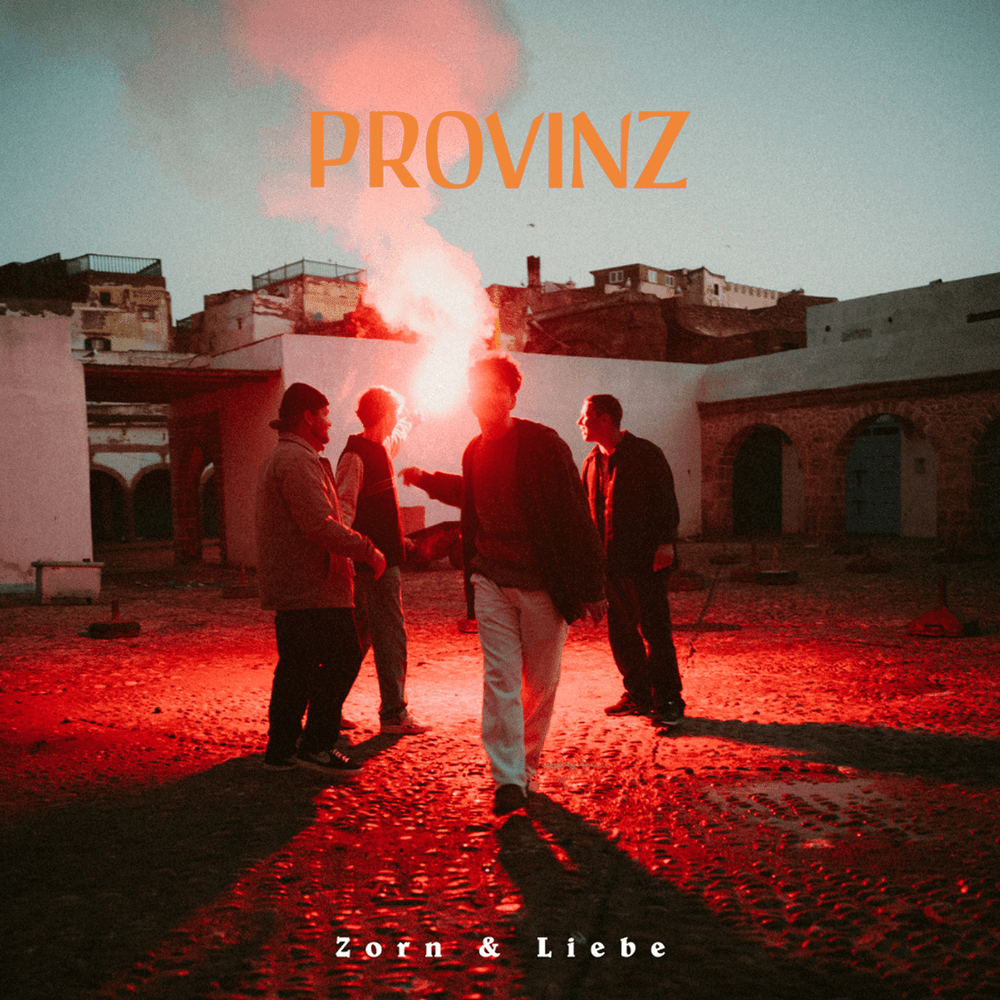 Album cover art for "Diese Nacht" by Provinz