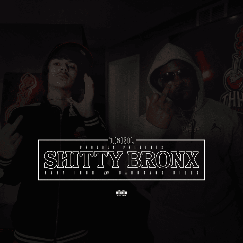 Cover image for Shitty Bronx