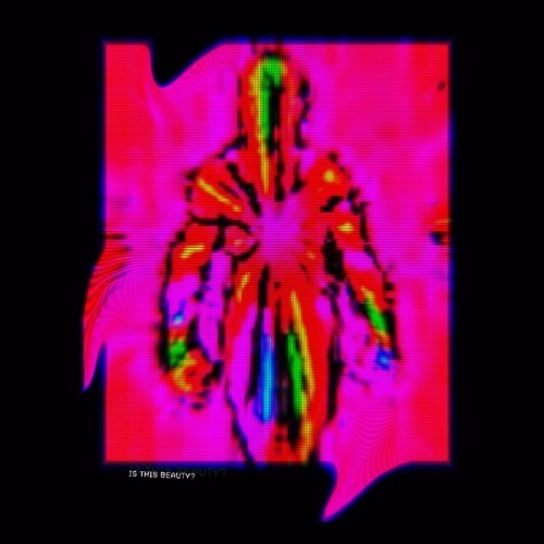 Album cover art for "BOOTLEG" by Fukkit