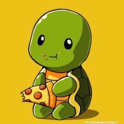 Cover image for TurtleHype