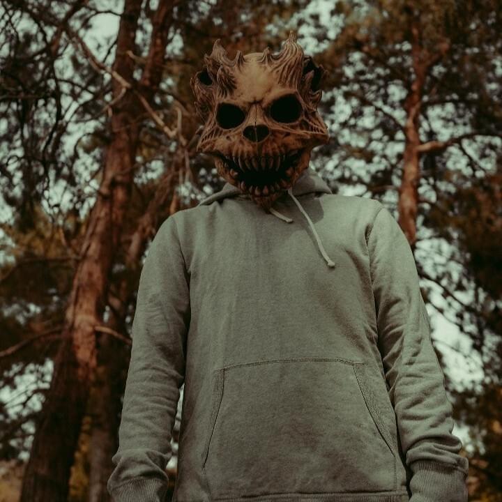 Cover image for Bear Grillz