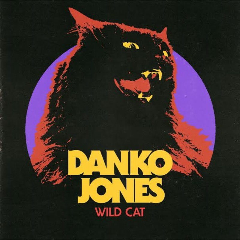 My Little RnR by Danko Jones