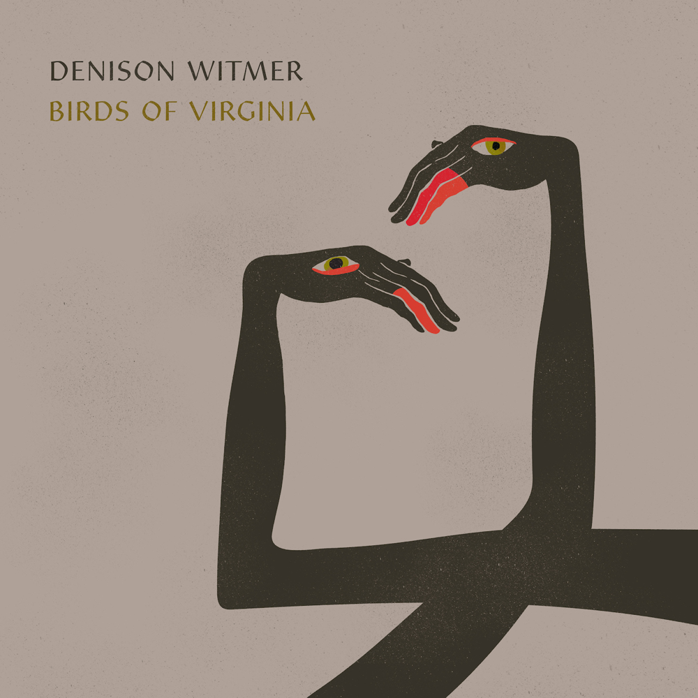Album cover art for "Birds of Virginia (Simplified Mix)" by Denison Witmer