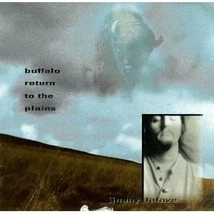 Sweetheart Like You by Jimmy LaFave