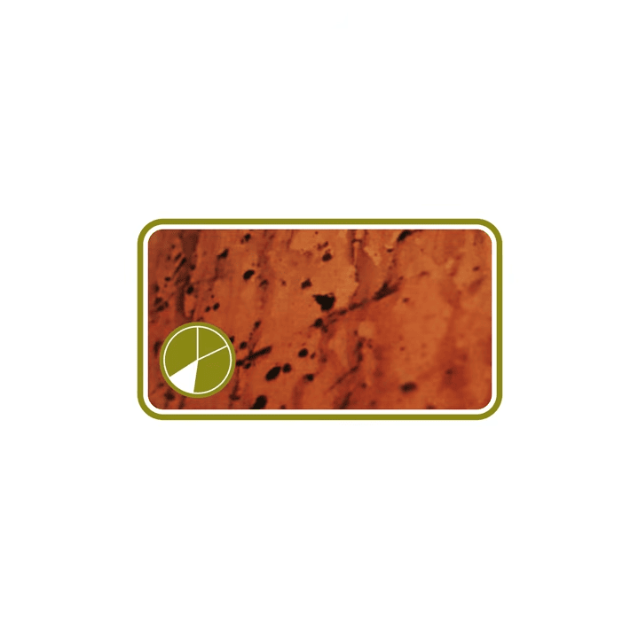 Album cover art for "#6 (Mould)" by Aphex Twin