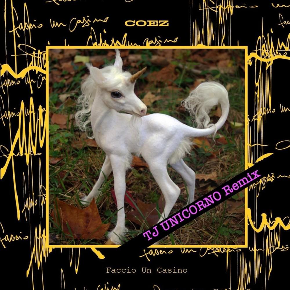 Cover image for Faccio un casino (TJ Unicorno Remix) - Single
