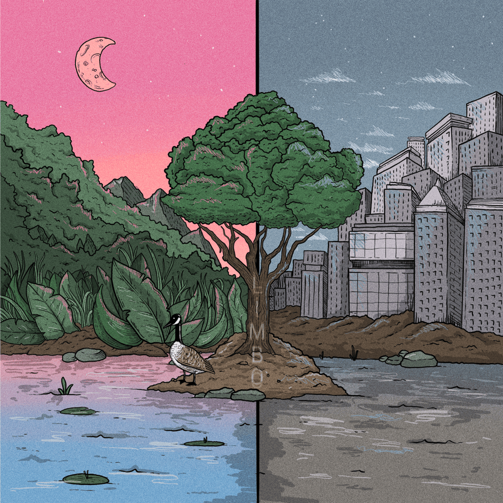 Cover image for Limbo