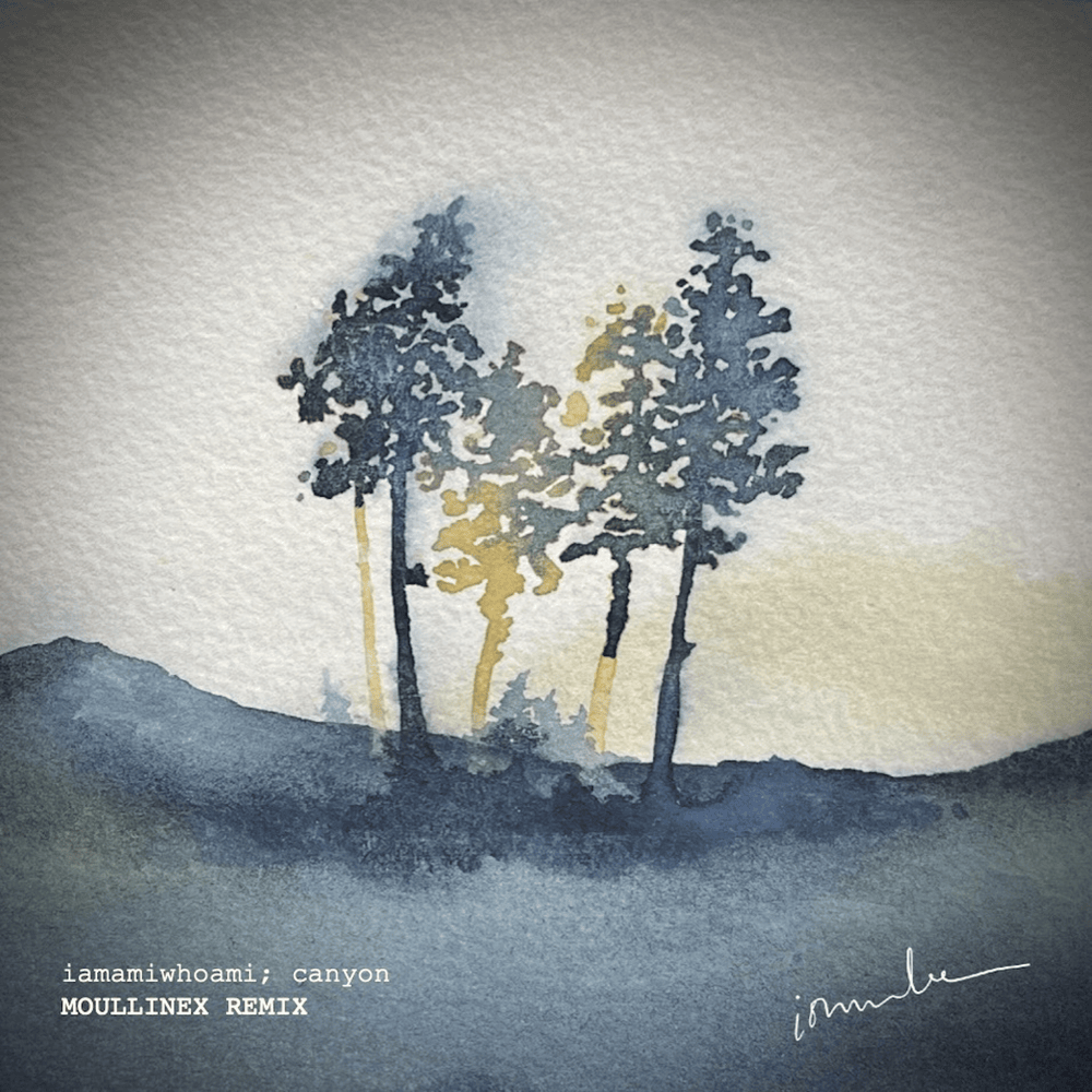 Album cover art for "​canyon (Moullinex remix)" by iamamiwhoami & Lars Winnerbäck