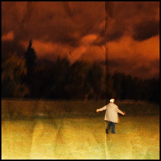 Cover image for Small Wonders