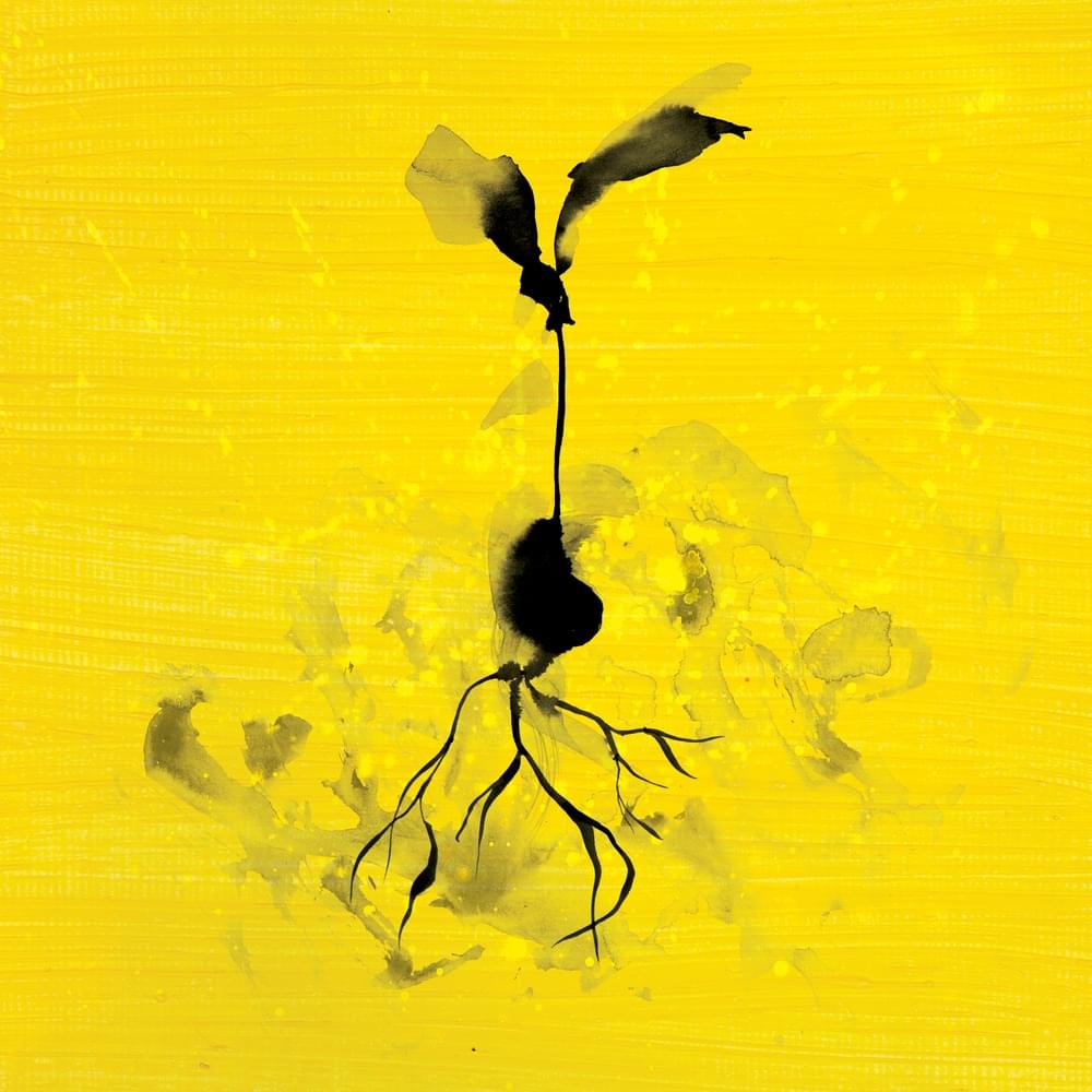Album cover art for "Life Goes On" by Ed Sheeran