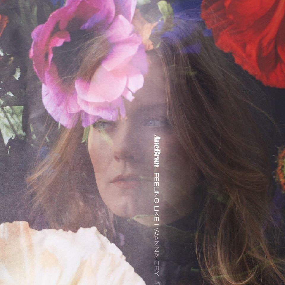 Album cover art for "Feeling Like I Wanna Cry" by Ane Brun