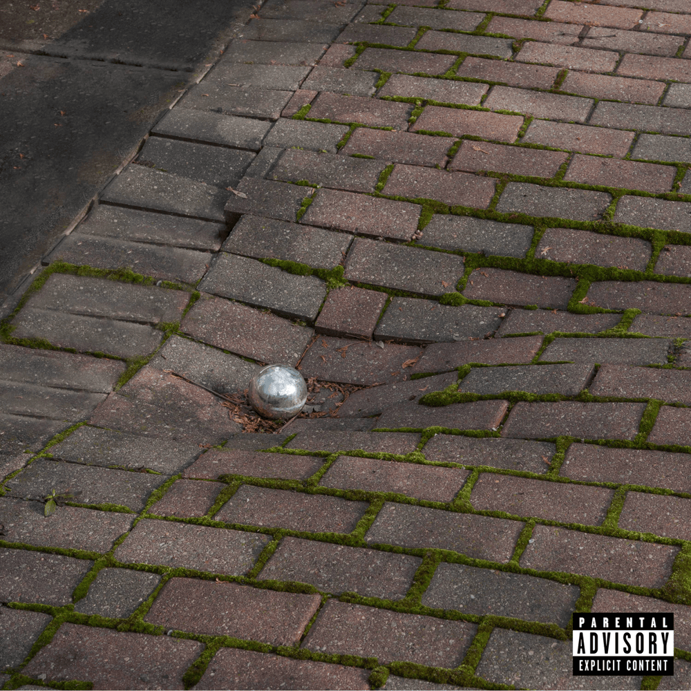 Album cover art for "MY DAY IS RUINED !" by Night Lovell