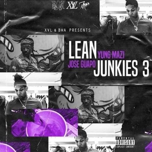 Cover image for Lean Junkies 3