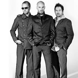 Cover image for Tree63