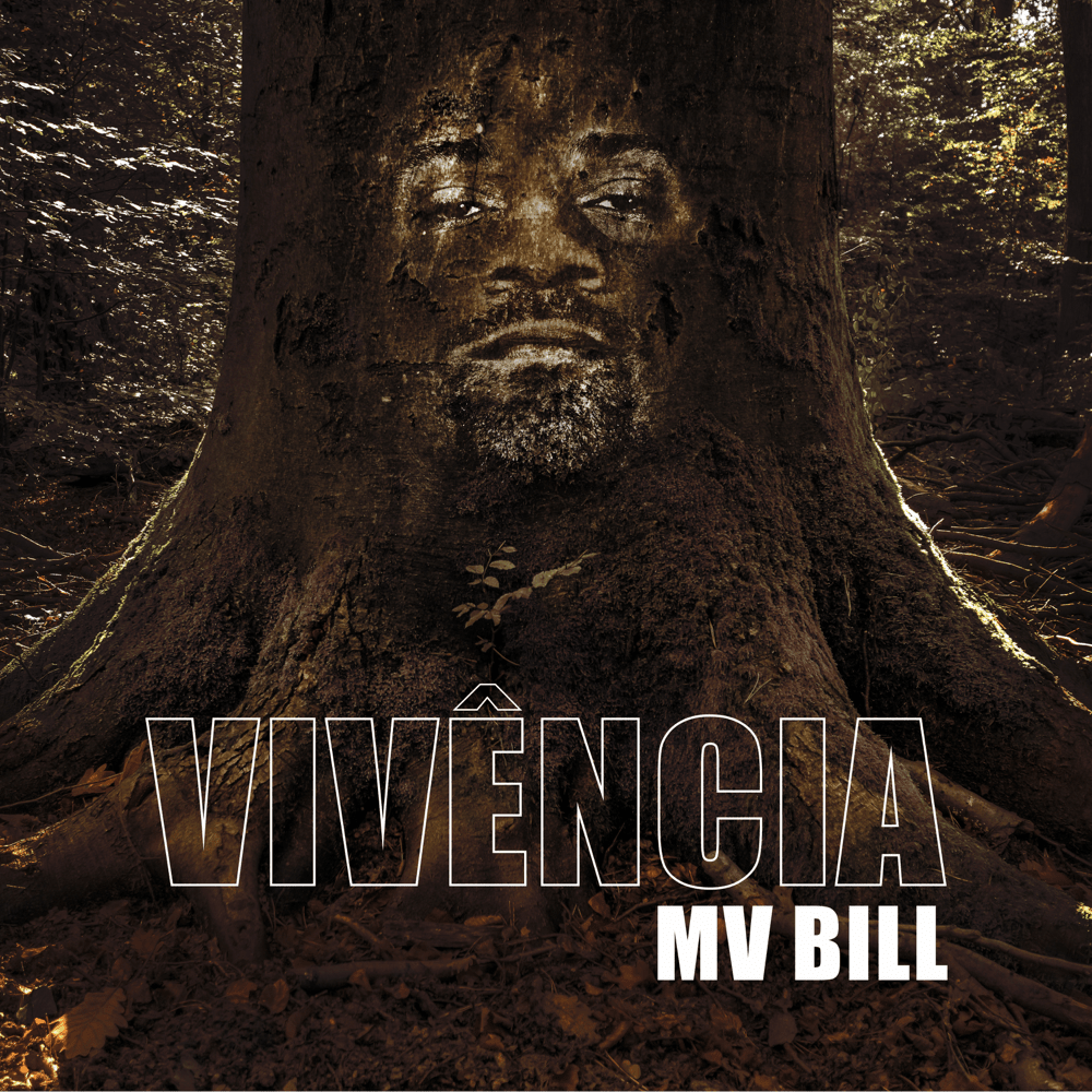 Cover image for Vivência