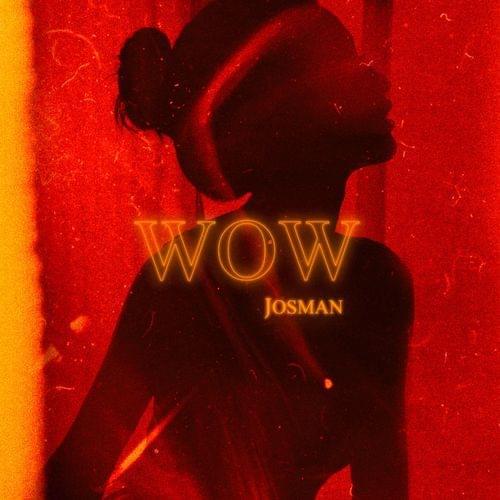 Album cover art for "WOW" by Josman