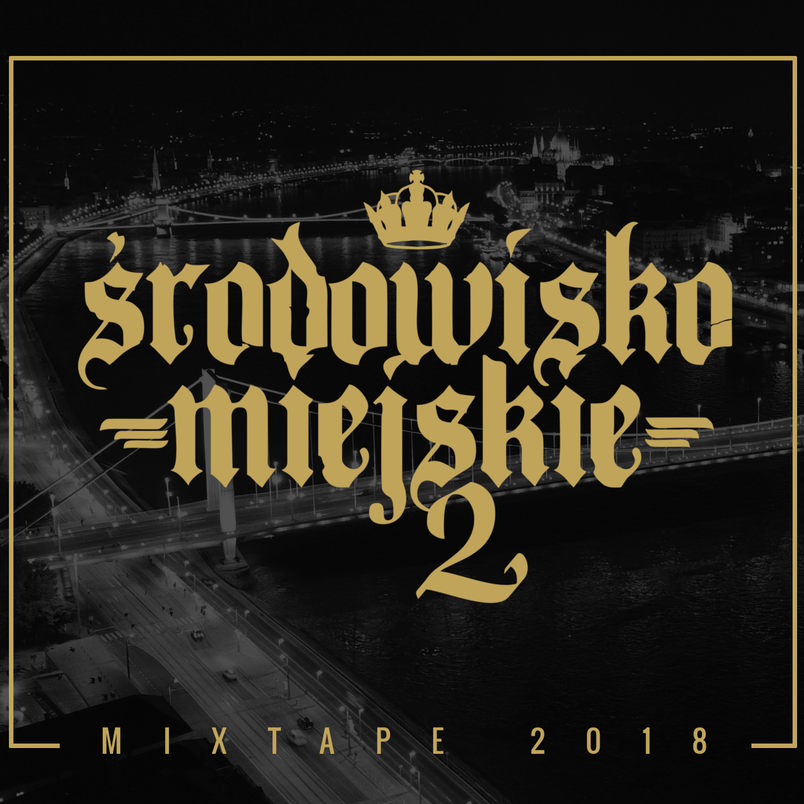 Cover image for Środowisko Miejskie 2