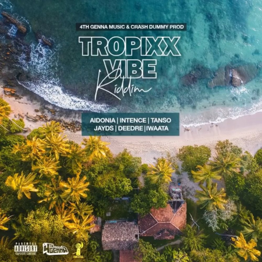 Cover image for Tropixx Vibe Riddim