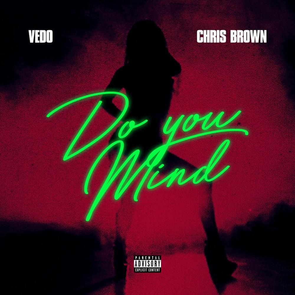 Do You Mind by VEDO