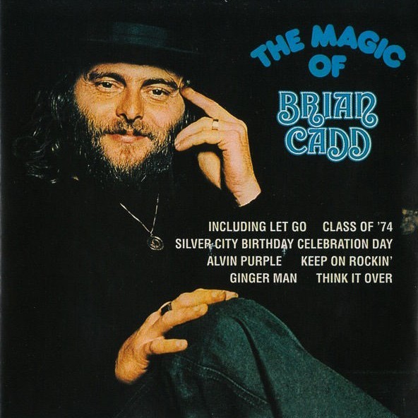Handyman by Brian Cadd