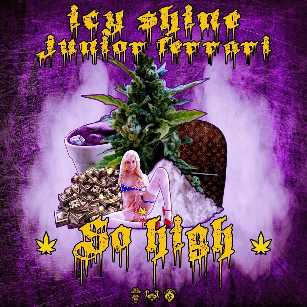 Cover image for SO HIGH 