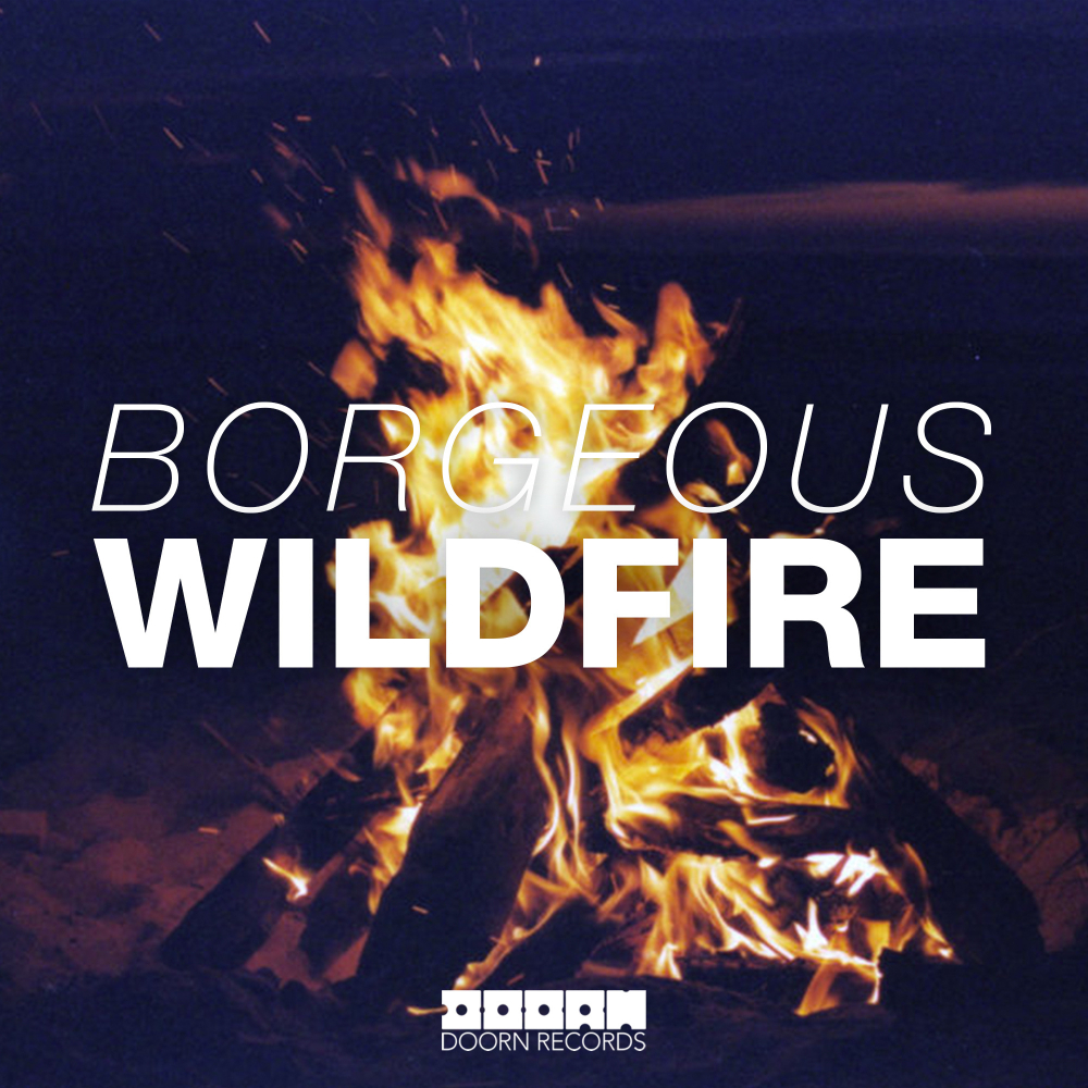 Album cover art for "Wildfire" by Borgeous