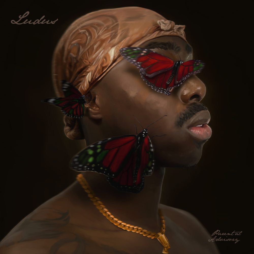 Cover image for Ludus